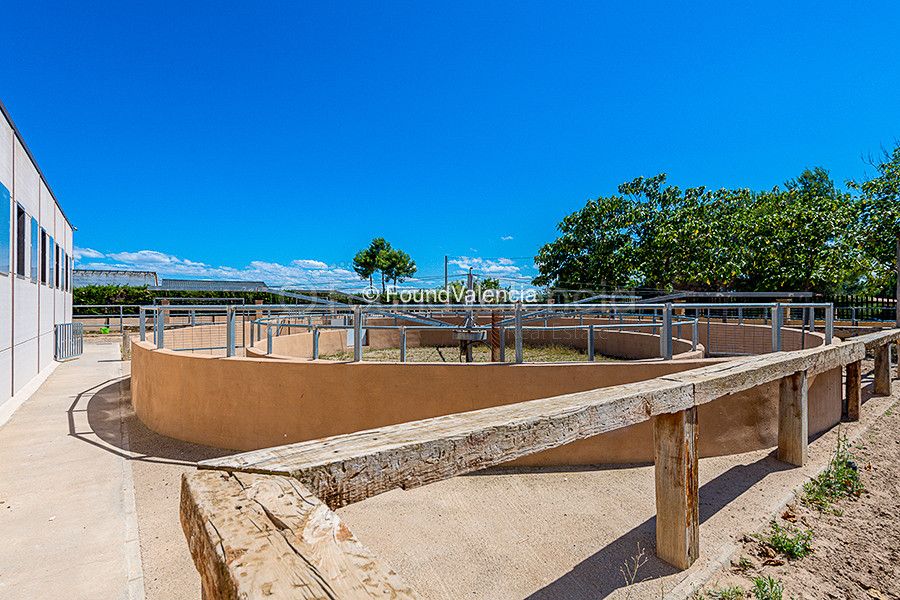 Een uitzonderlijke commerciële exquestrian faciliteit in Chiva