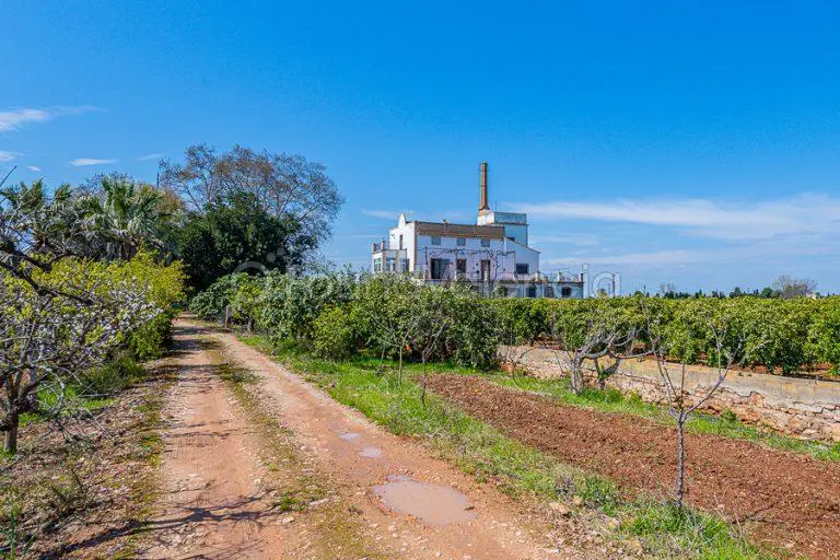 Boerderij te koop in Benifaió Valencia